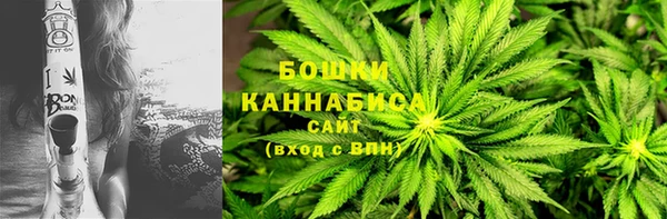 дживик Аркадак