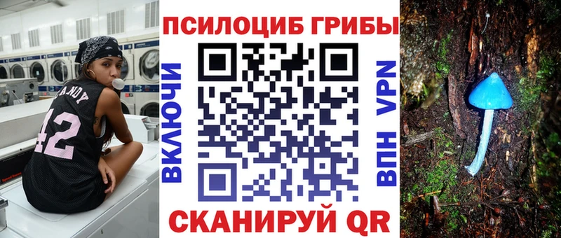 закладки  Оленегорск  Галлюциногенные грибы мицелий 